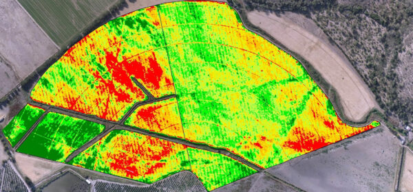 Curso Agricultura de precisión con drones