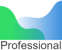 Agisoft Professional licencia standard