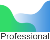 Agisoft Professional licencia flotante