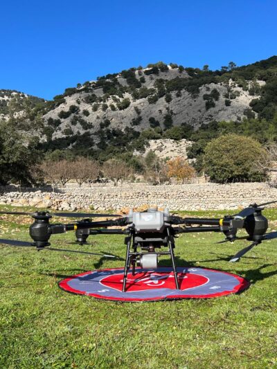 Imagen de WhatsApp 2025-07-22 a las 11.22.18 d2e02705