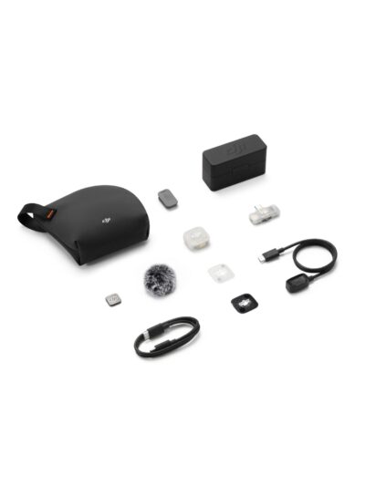 Mic 2s mini 1