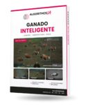 Algoritmo IA conteo de ganado con dron DJI