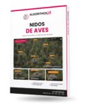 Algoritmo IA detección de nidos en apoyos eléctricos